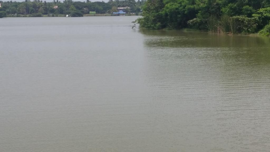 Sunhill Lake Tourist Rest Anuradhapura Exterior foto