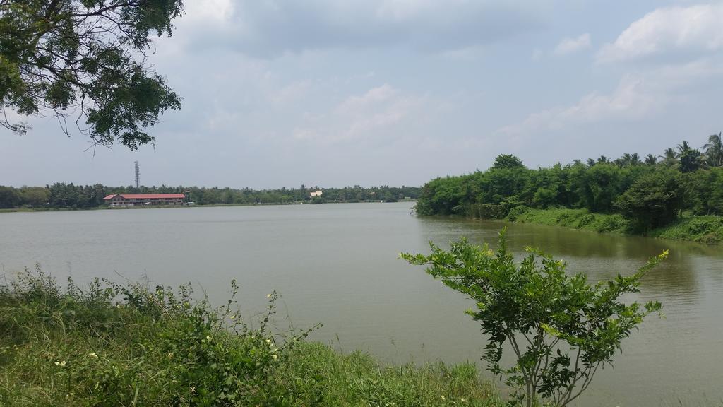 Sunhill Lake Tourist Rest Anuradhapura Exterior foto